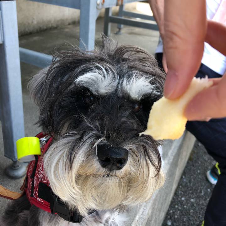 04f865ea d508 450b a865 2f840de27673 1527922339941