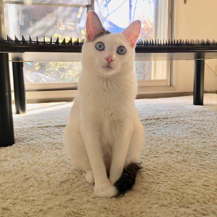 04f89264 f3cd 4d31 b359 a8b872c53239 1514250839449