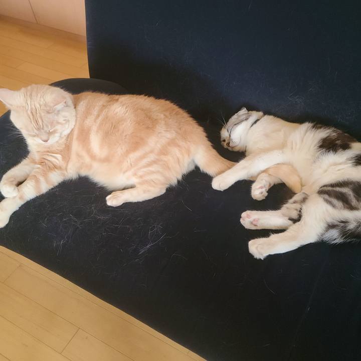 04f89374 50b9 4fd7 82f8 d21ab23af974 1653613425510