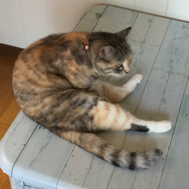 04f8b30c c6d7 4f9b b2b4 19d7a20a0483 1558754591552