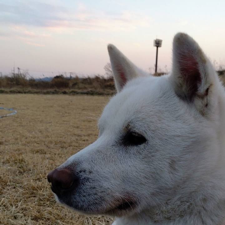 04f8e83b d443 4aec bf2b b355ce3e97df 1645886007117