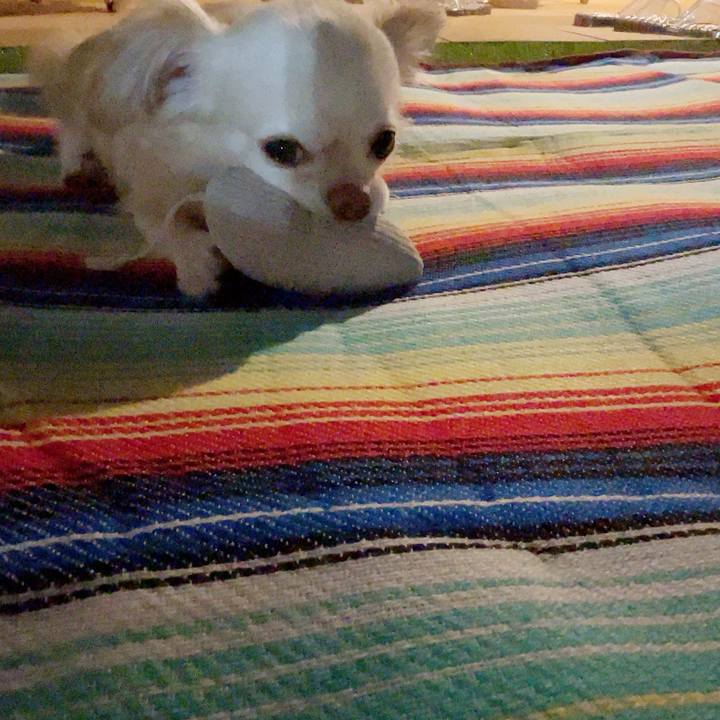 04f91ebb 6abf 450e 85d5 2d5c10a93c06 1684730983686