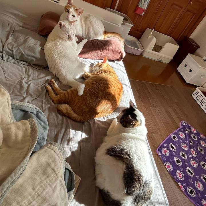 04f9450e ebf1 43dd b10e 7a24852a3ad2 1688251474613