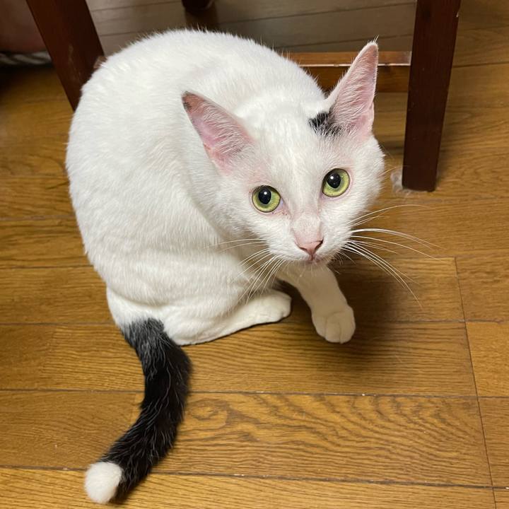 04f94553 ac8b 4141 8f1f 0aa568901184 1753494093245