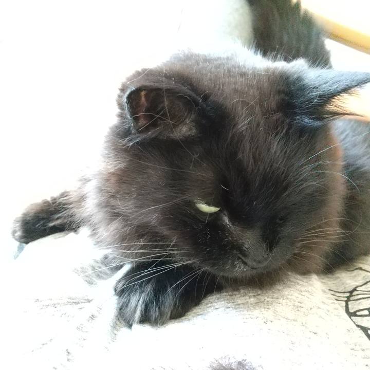 04f94ae1 6f28 4754 923a f2226c97b79c 1591661682393