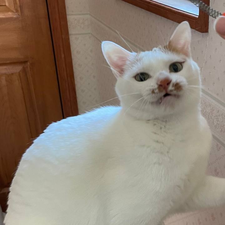 04f9695a 099d 47fe 8708 6a8c5ca73b80 1644589519183