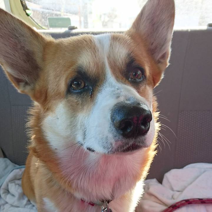 04fa3d13 c4c1 4c19 84f2 708ac7ba5584 1606610537438