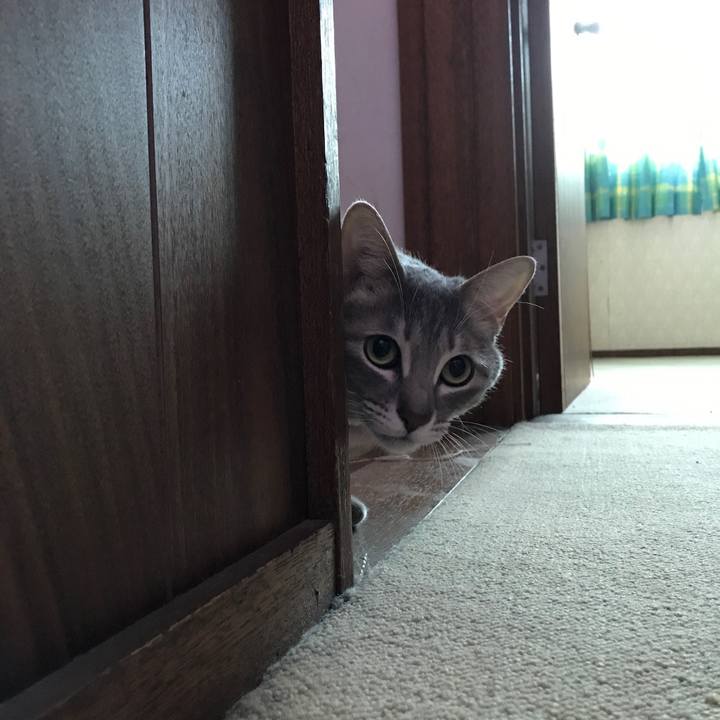 04fa4c0d 5ae5 418f 8a05 f3b42bf001bf 1585216714955