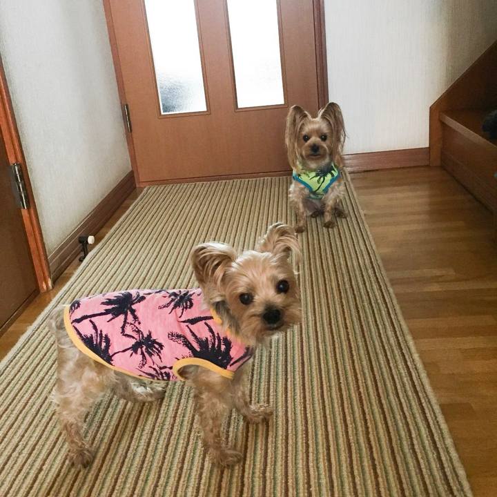 04faaa46 5ffb 4feb bcda 747729142c1f 1543403725746