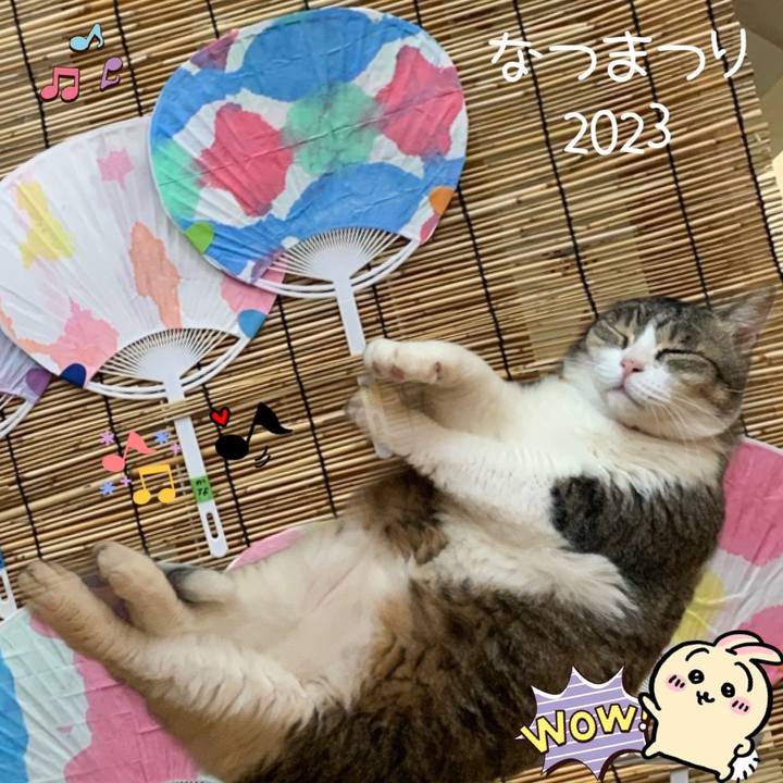 04faaf74 a833 46fd 9645 4001bc23f597 1693099232695