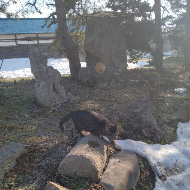 04fac38e 3c14 44a3 9050 00f43da9ad07 1678777311350