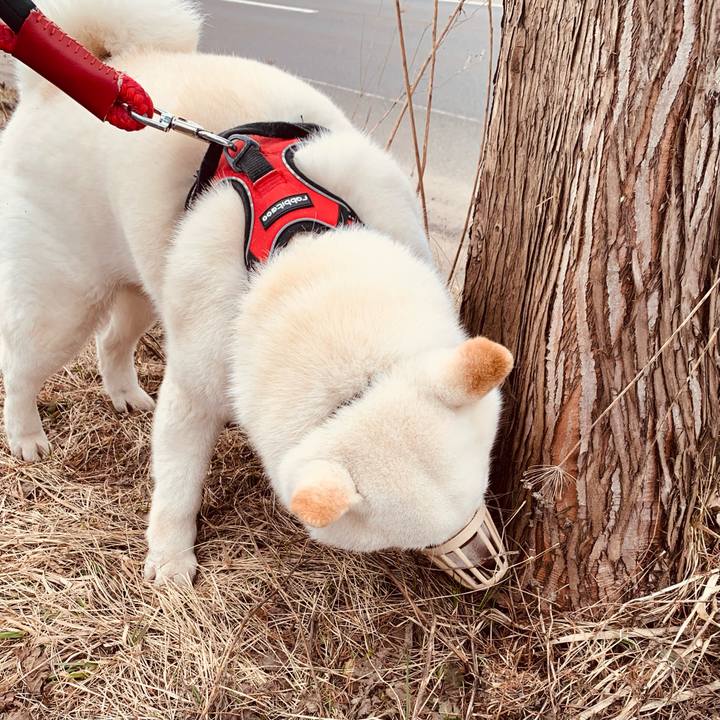 04facfec b1cf 41d7 821b 3bc46765baa7 1679524545239