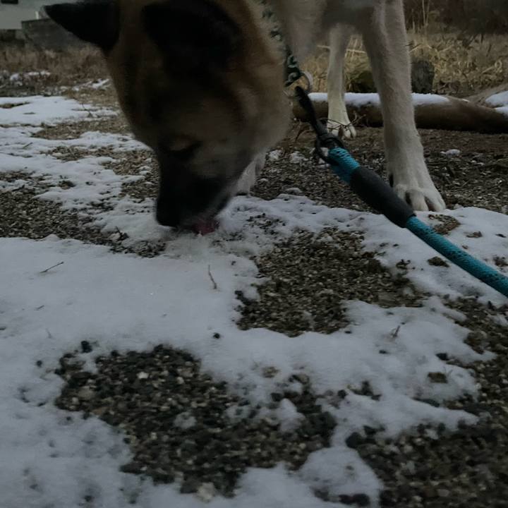 04faeeef 4af6 4008 b386 6329e50ccc2b 1674736287988