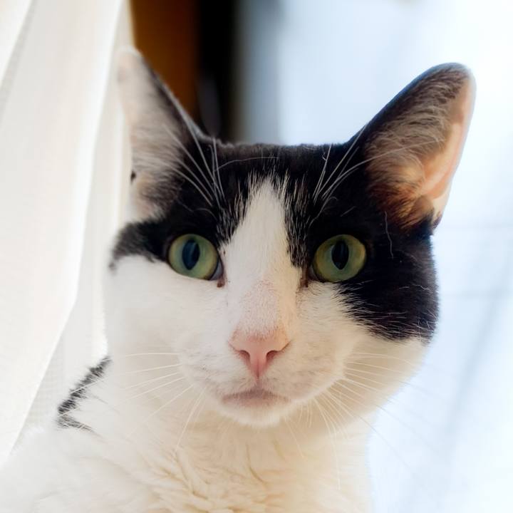 04faf41e 6416 464e 8c65 27910b572018 1591665156987