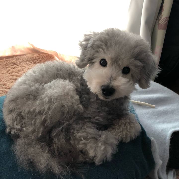 04fb01b6 cafc 4710 80bb 6a0c09d9dfd2 1556419101654