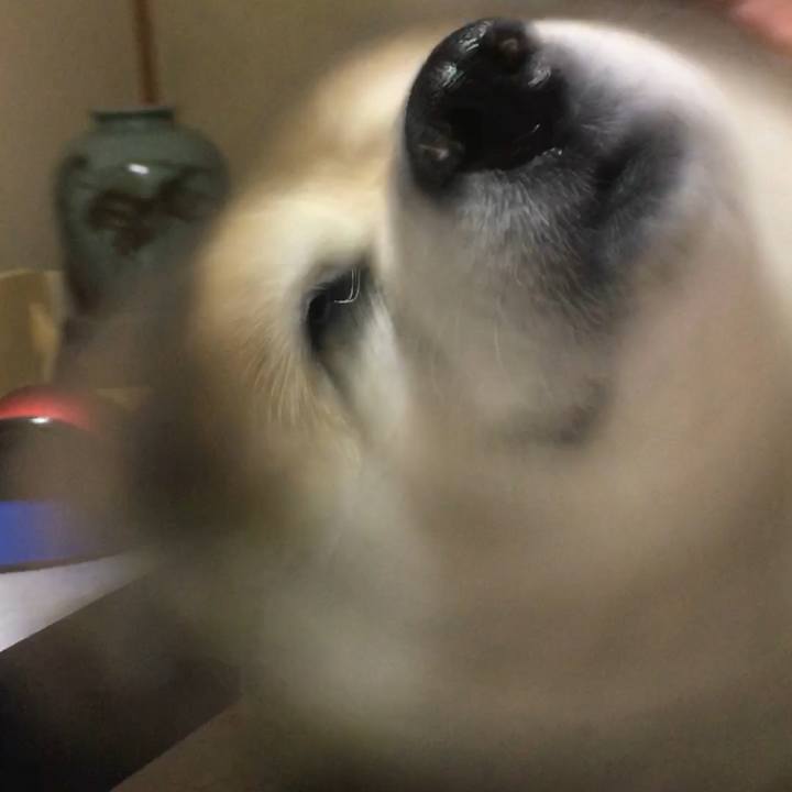 04fb1360 a641 42a4 9cc8 78e298f753be 1630373702375