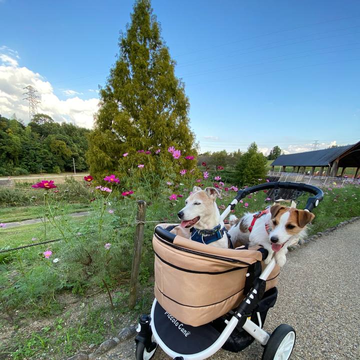 04fb2a96 6fee 4428 8145 c821d0ad6eeb 1665902585206