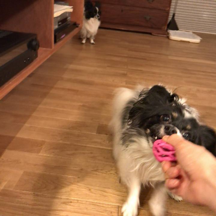 04fb4cbe 4a86 49db bee1 e359fc965968 1517136737693