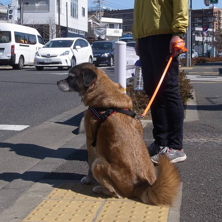 04fb5056 1394 408d 83d0 a09a358c192a 1600040238620