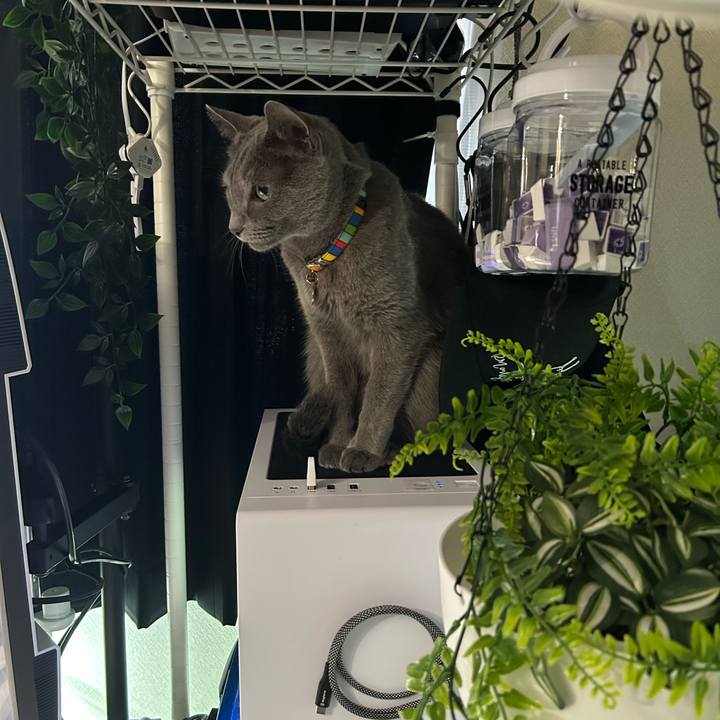 04fb5da5 02bf 4710 a6dc 19adf843a12e 1730594522105