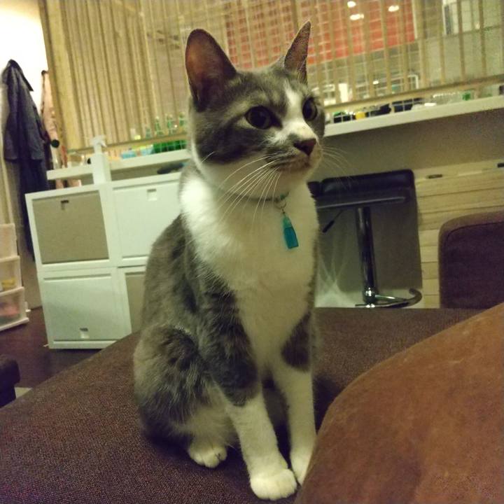 04fb6107 71e5 45f1 a528 e6e80f9ff2bb 1620646022064