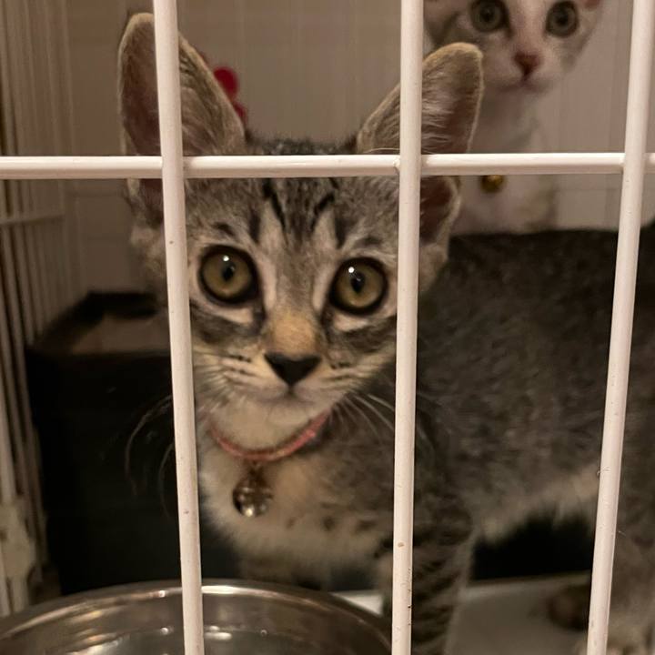 04fb9e32 fa83 4cb9 b961 b82b7fba95f1 1721602807530