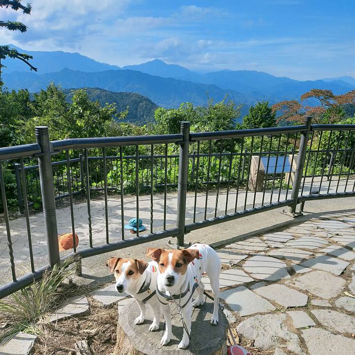 04fbe90e 6e91 49ad b218 0d732435f2c3 1761725476459