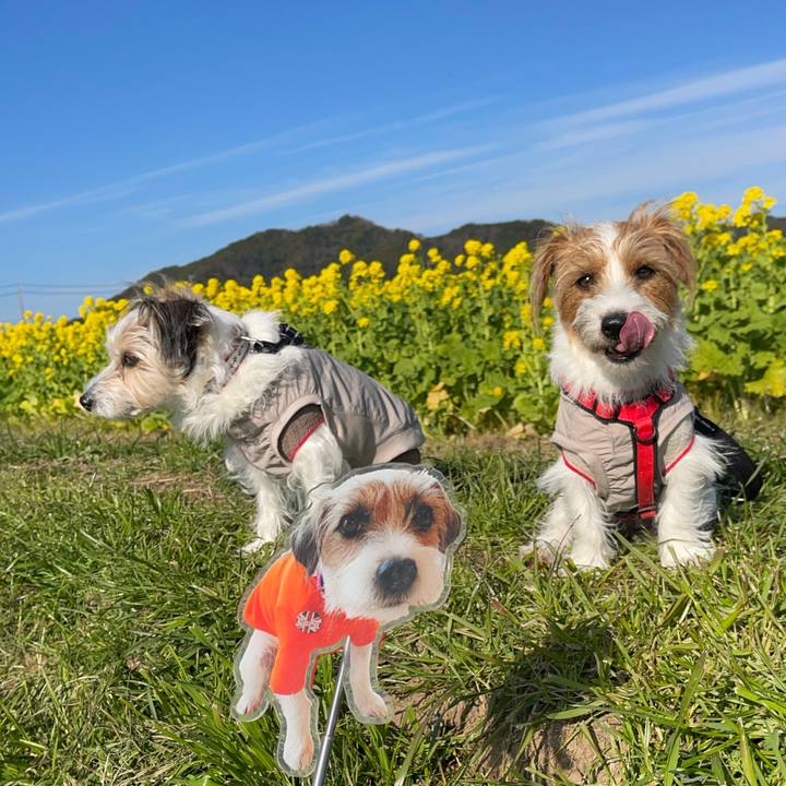 04fc062a 5cb7 4162 a7a9 cbf41323a0d3 1767159988032