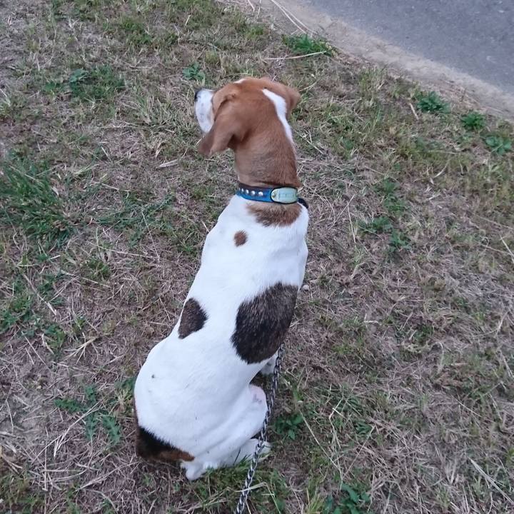 04fc0aa2 74a7 42c1 8fa6 de7389b62c8e 1572701410943