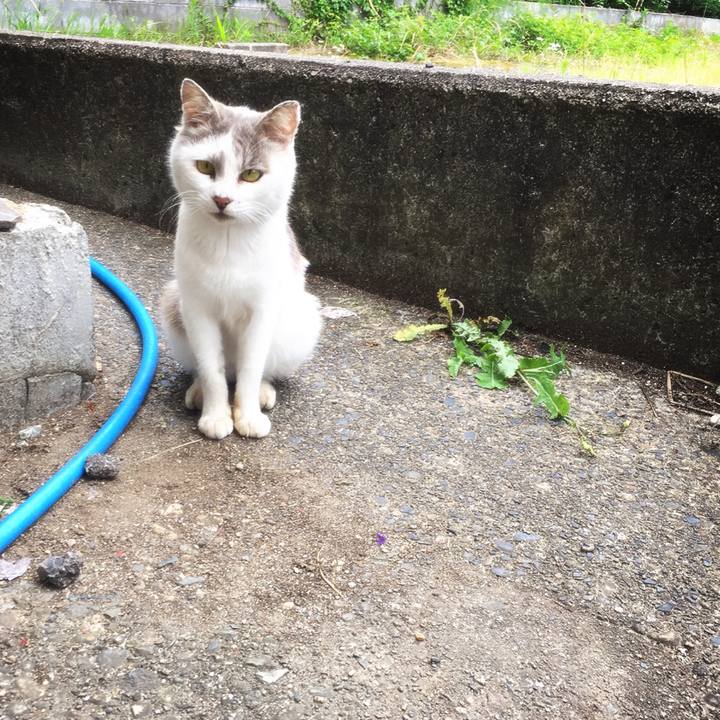 04fc2653 566e 4ebf 9909 6c8e39b4c746 1522414437941