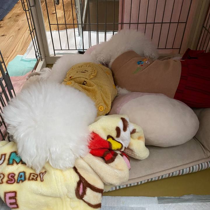 04fc6d9f fad0 4edd b9fb 114024fc1fb8 1637714429778