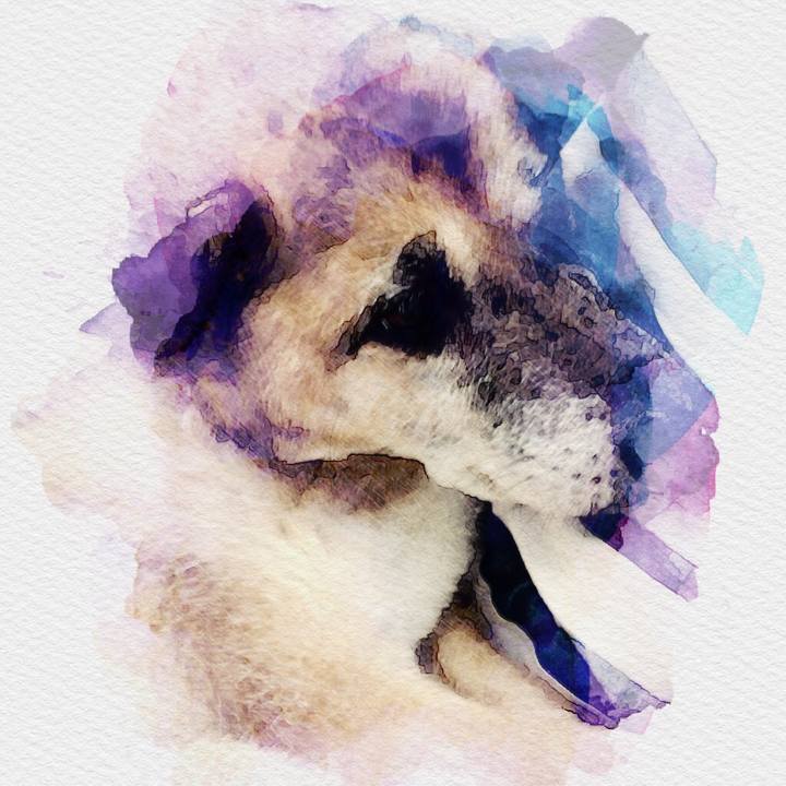 04fc6f8d 8659 4465 a17b 138fb65ca73d 1535861148938