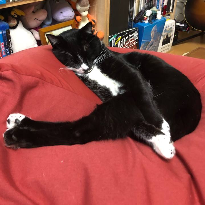 04fc8493 5947 4ea7 a28b a26dfd820d73 1545193456426