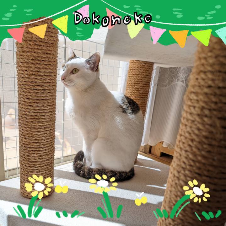 04fcaa3c 7893 416a af74 0b55980a9e6a 1711512262110