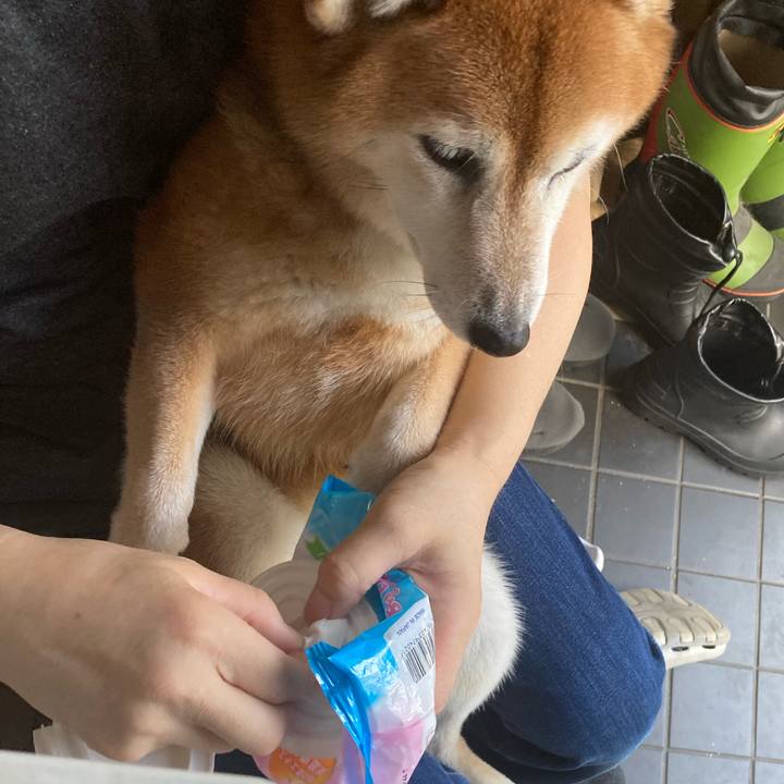 04fcd78a be82 4472 ac28 b70d48cfc241 1695017409511