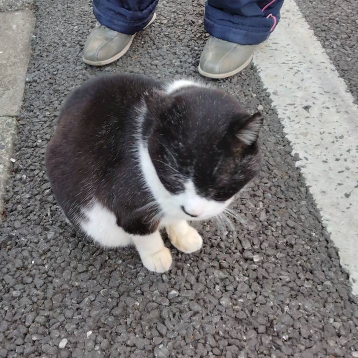 04fcf4e6 3254 4265 bf40 a8b100e02ca5 1705017526160