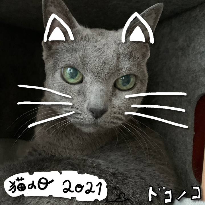 04fd197d 928a 4c06 9a00 a54f86d10141 1613974419323