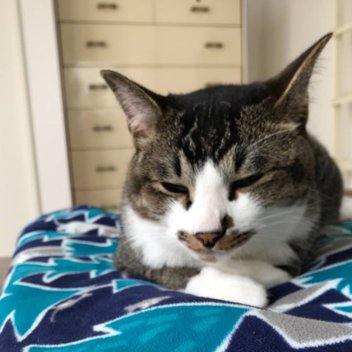 04fd1b06 41ce 4fcf bcd3 f70e568e1bf0 1531792141270