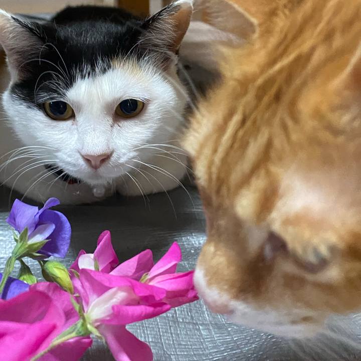 04fd447e f6ed 4647 b458 d3df6bd417fe 1653427287267