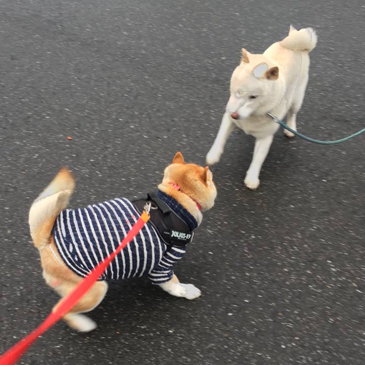 04fd5627 f03c 4417 97e0 49dabdfbdcf6 1585466905200