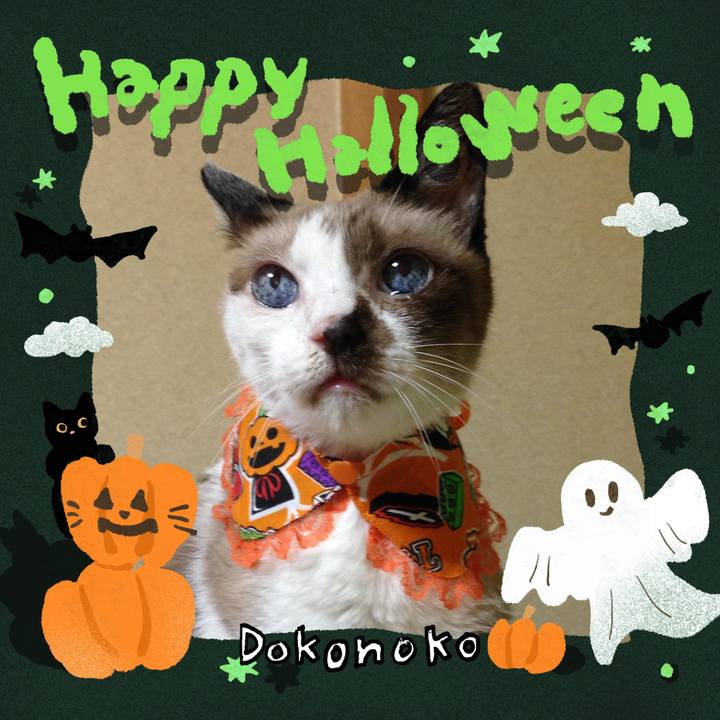 04fd84b5 7107 4219 bd5c 813992bd47d8 1730335090802