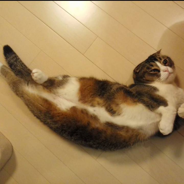 04fe1add 655d 47d3 a13a dc91e3cc2ee9 1546644723935