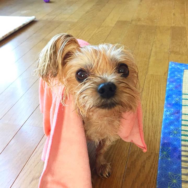 04fe4e8a 9965 4bc9 b830 fe99dc280790 1533528970681