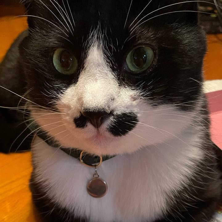 04fe549c 0404 4601 9be8 a6bc351f4266 1737462729804