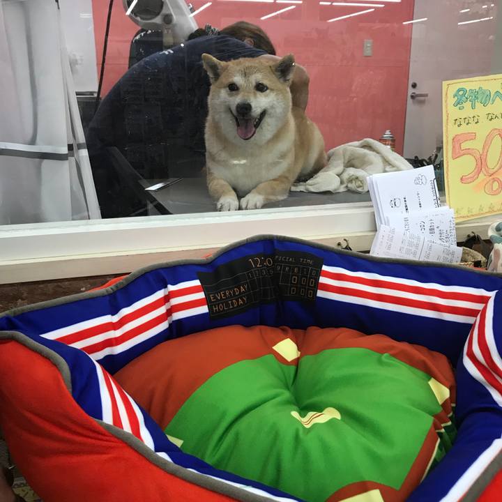 04fe54bc 6d02 4bf8 a995 c0bae572beaa 1520212884585