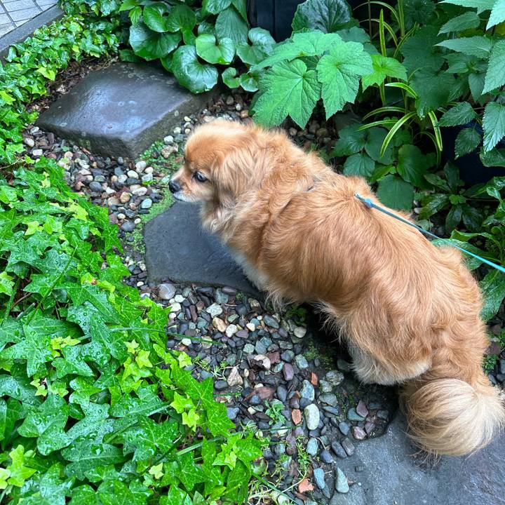 04fe8345 c974 4ed8 ab9b cfc6cfb3abb4 1685395257337