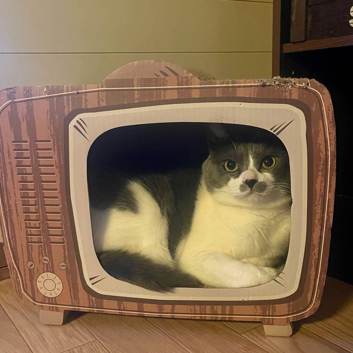 04febcbf 7f66 45d3 ba33 026c53122ba6 1683017041064