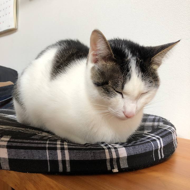 04fed2ca 3565 4508 b5e8 65877cea8284 1618272779704