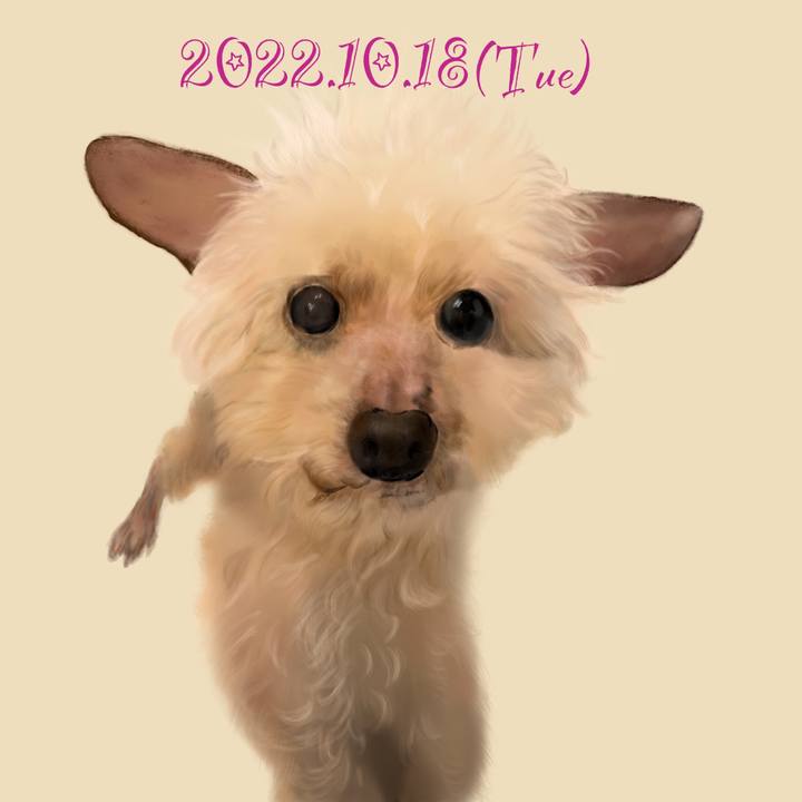 04ff0883 97be 4bc7 9058 801c169f1c21 1666095367246
