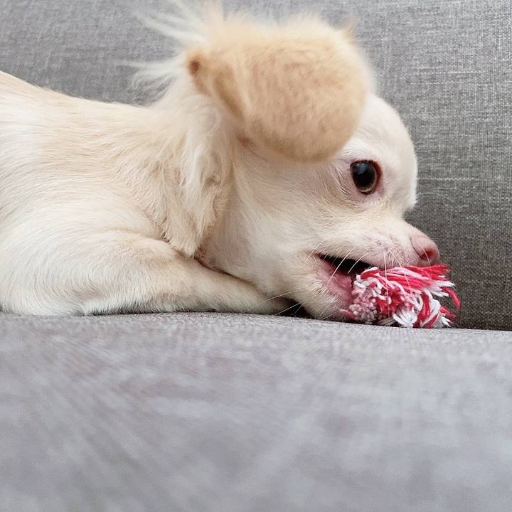 04ff0d52 1a36 4a45 8bc6 ce469c0c6b03 1595904202452